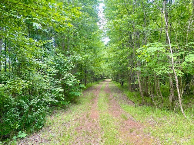 0 Pete Johnson Road Tignall, GA 30668 - Photo 14 of 43