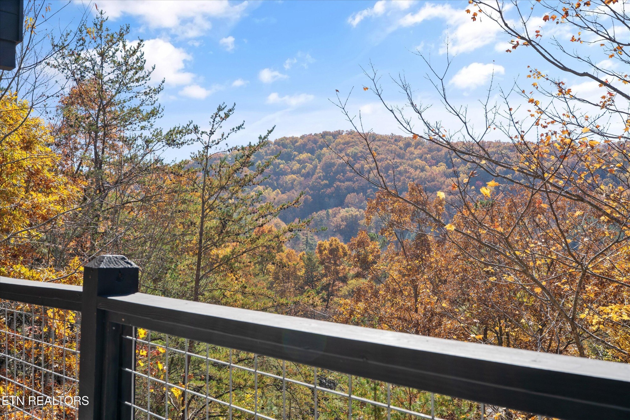 3898 Millers Ridge Way Sevierville, TN 37862 - Photo 15 of 42 Gallery Image 15