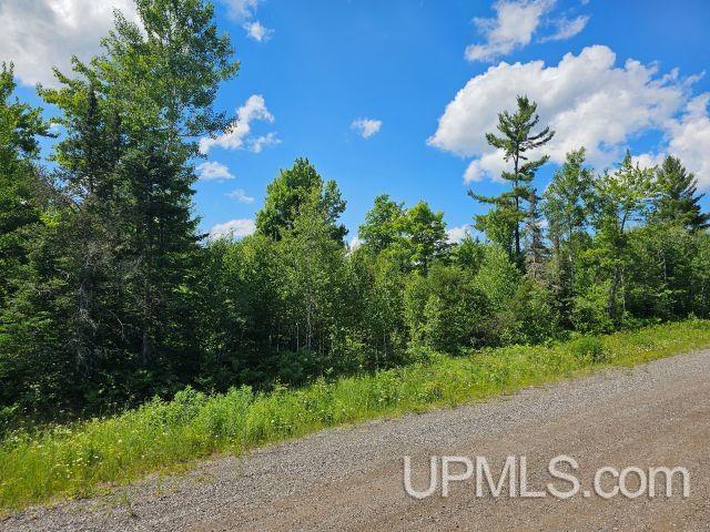 Tbd Pike Pond Drive, Unit #27 Ishpeming, MI 49849 - Photo 3 of 4