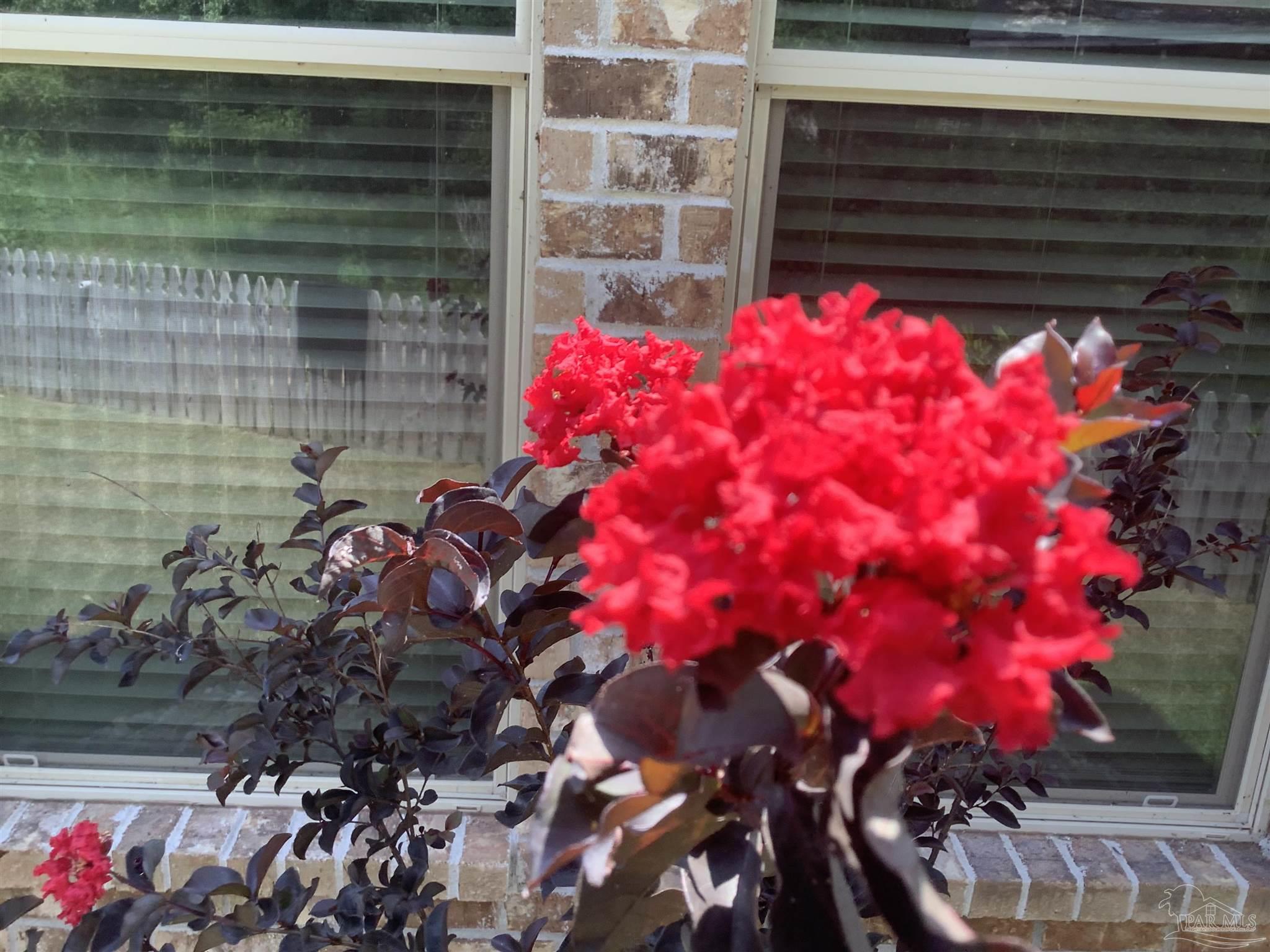 1584 Sawyers Rdg Cove Cantonment, FL 32533 - Photo 35 of 39