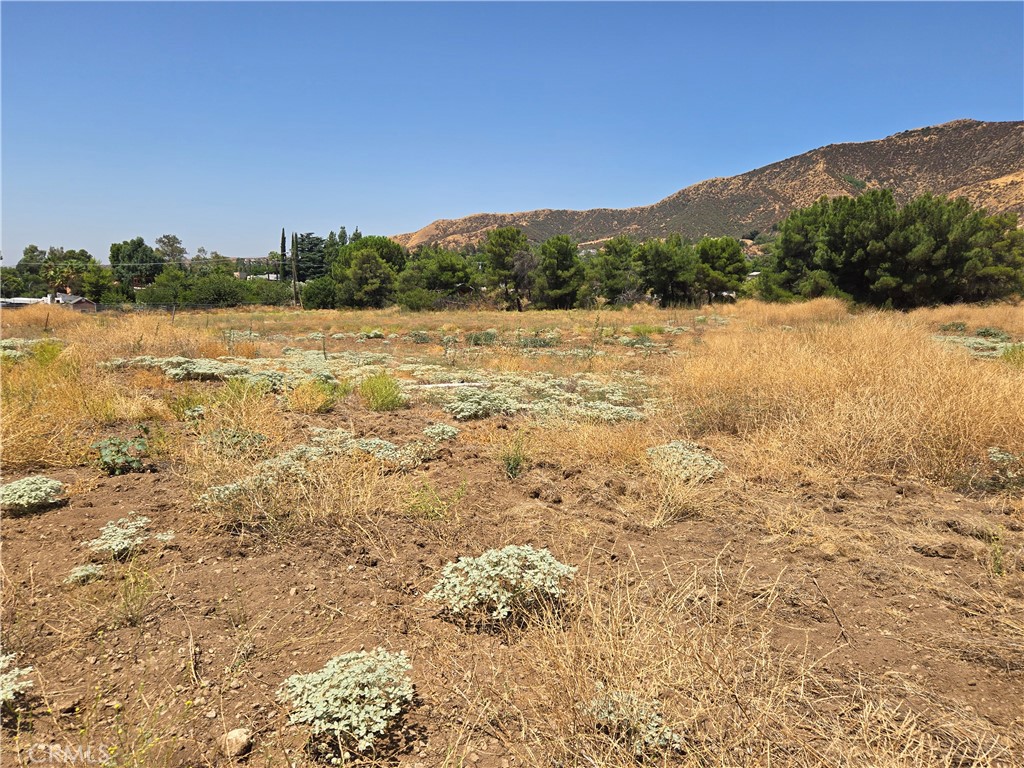 9575 Oak Glen Road Cherry Valley, CA 92223 - Photo 8 of 11 Gallery Image 8