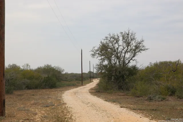 a view of a road with a tree in the background