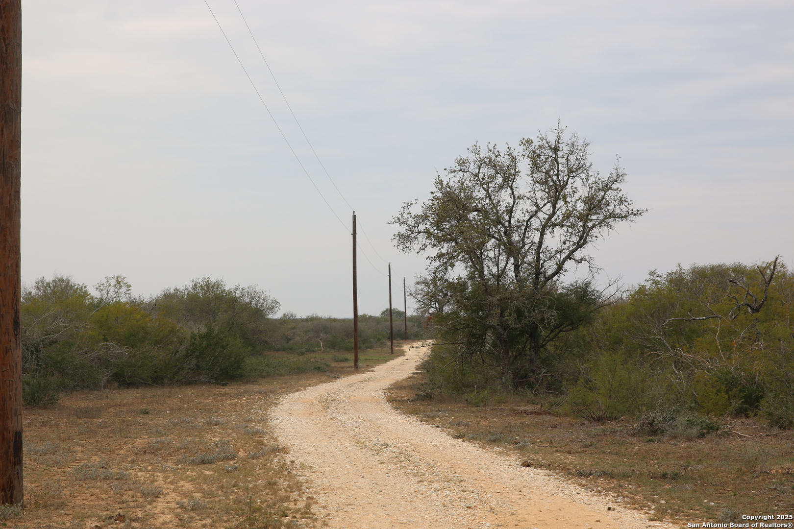 a view of a road with a tree in the background