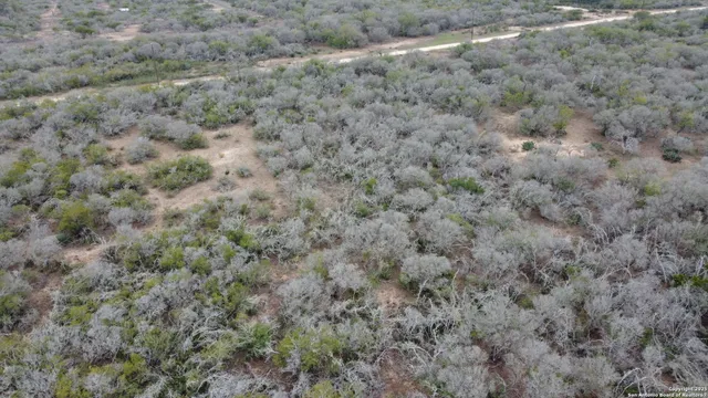 a view of a field with trees in background