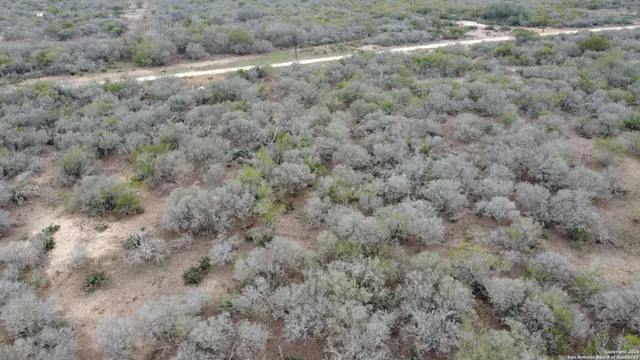 a close up of a dry yard