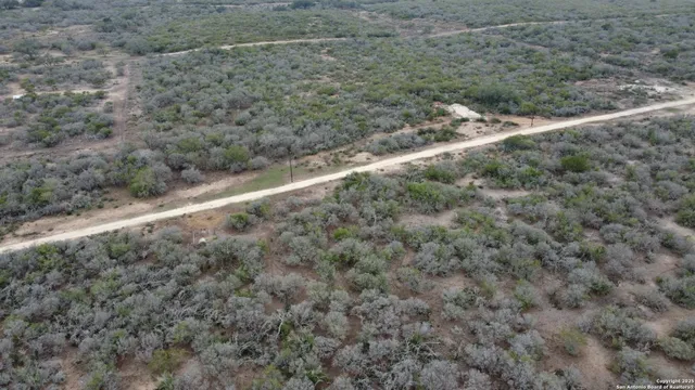 a view of a dry yard