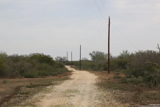 a view of a tree in front of a house