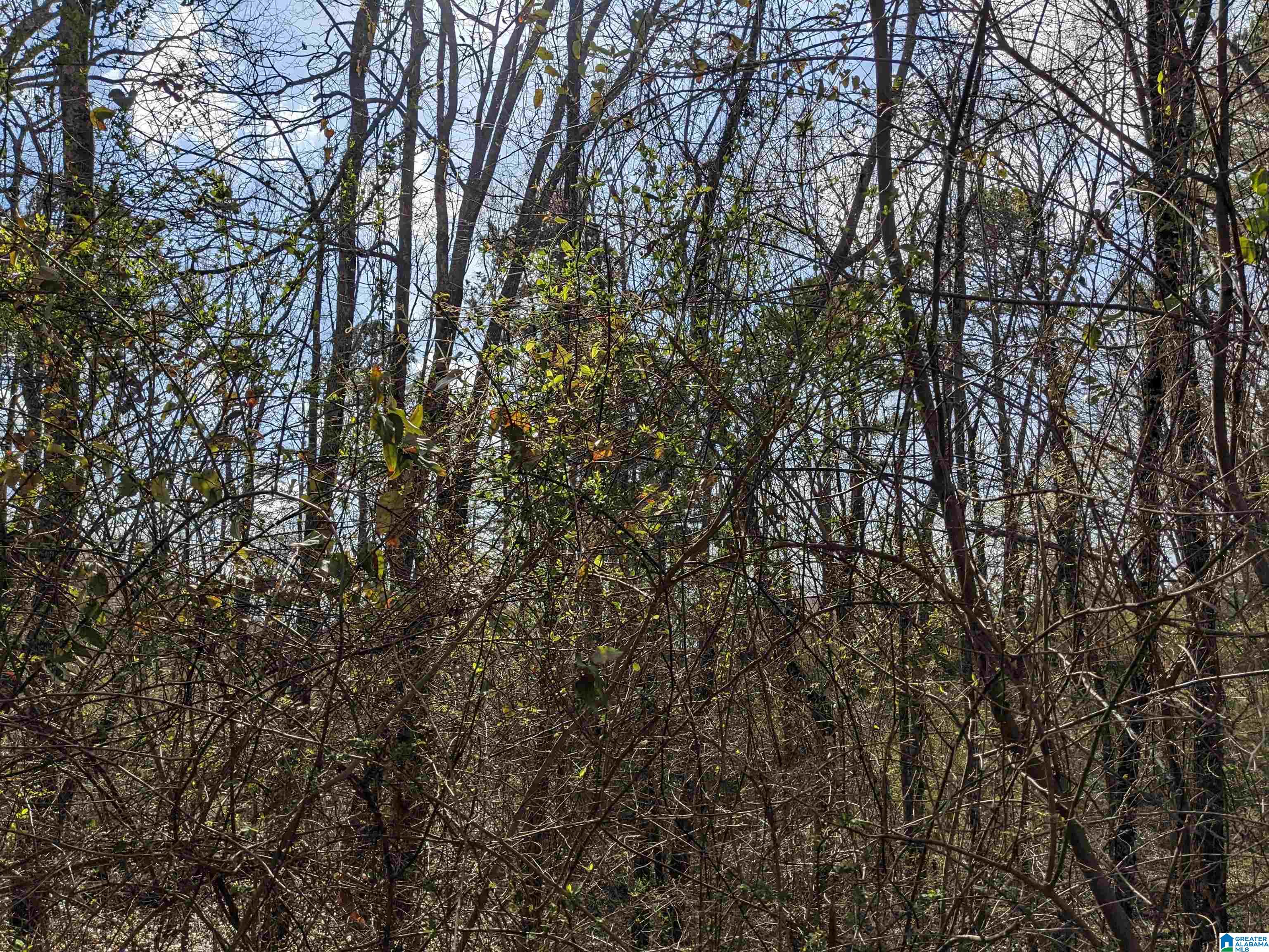 0 Hathaway Heights Road, Unit 2 & 3 Anniston, AL 36207 - Photo 26 of 30