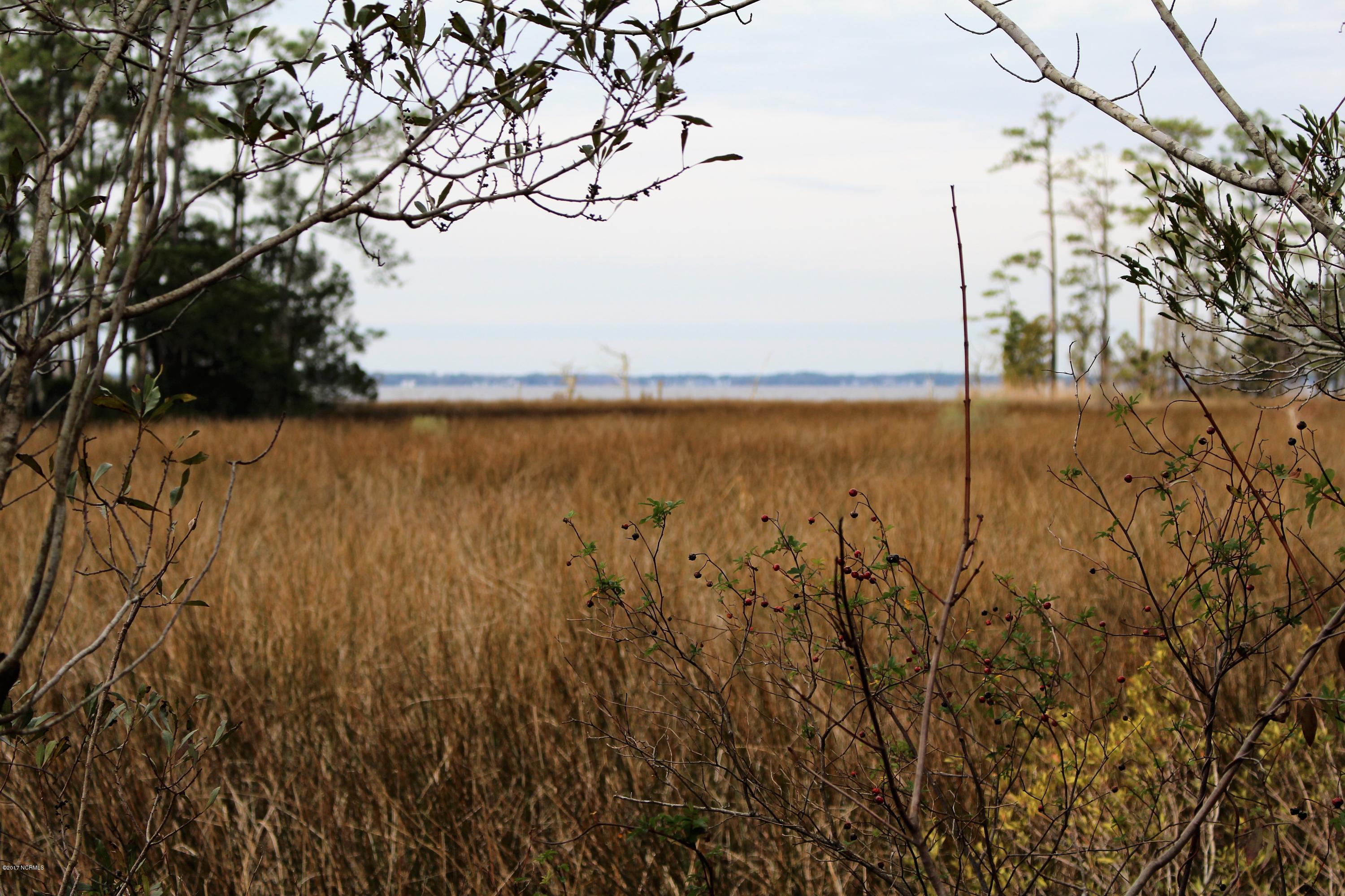 451 Becton Road Havelock, NC 28532 - Photo 27 of 87 View from backyard toward Neuse River
