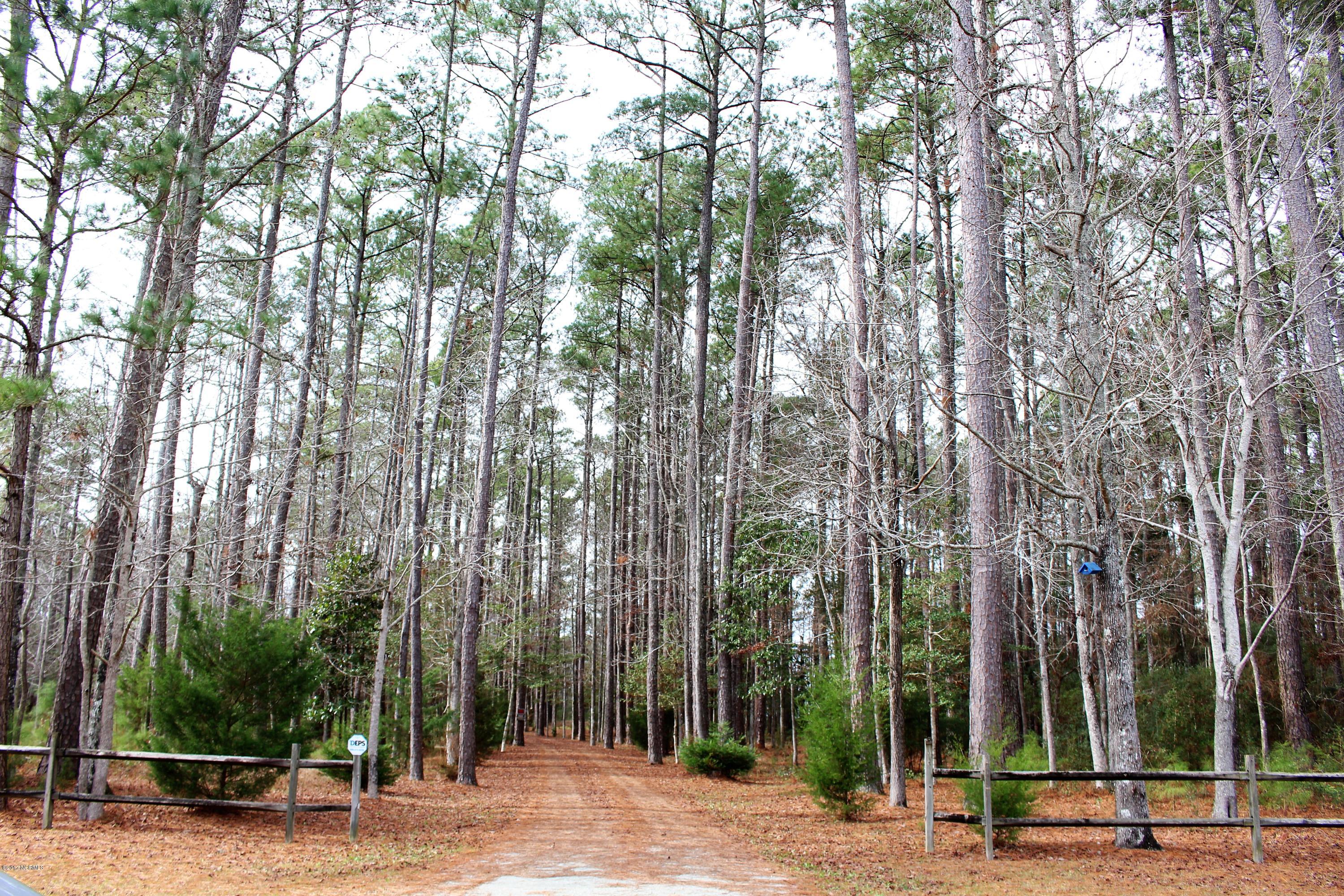 451 Becton Road Havelock, NC 28532 - Photo 7 of 87 The entrance to the property from your private drive