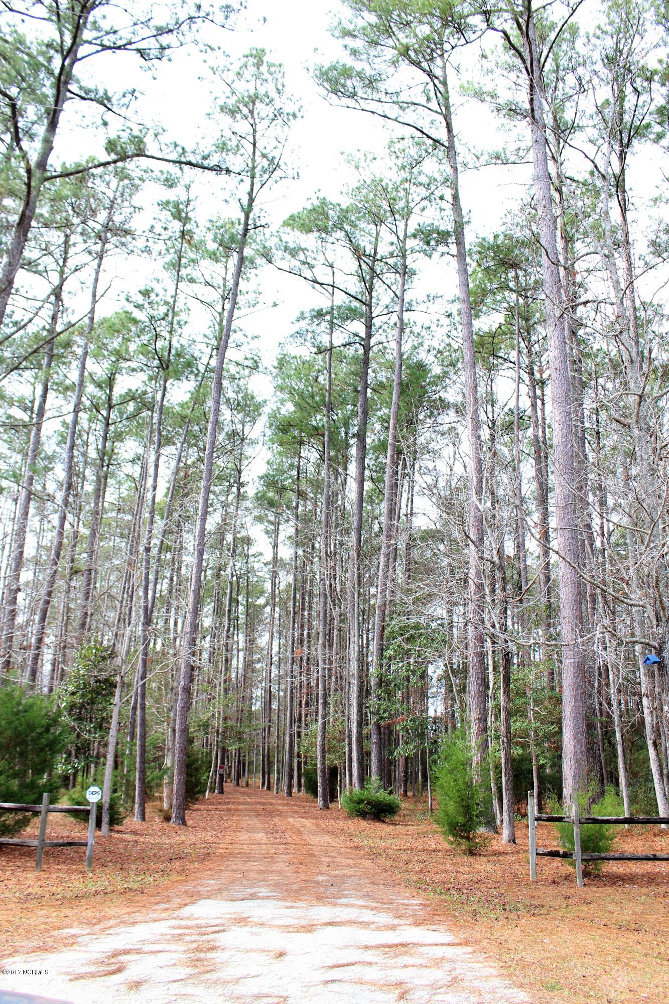 451 Becton Road Havelock, NC 28532 - Photo 8 of 87 Your Driveway to paradise