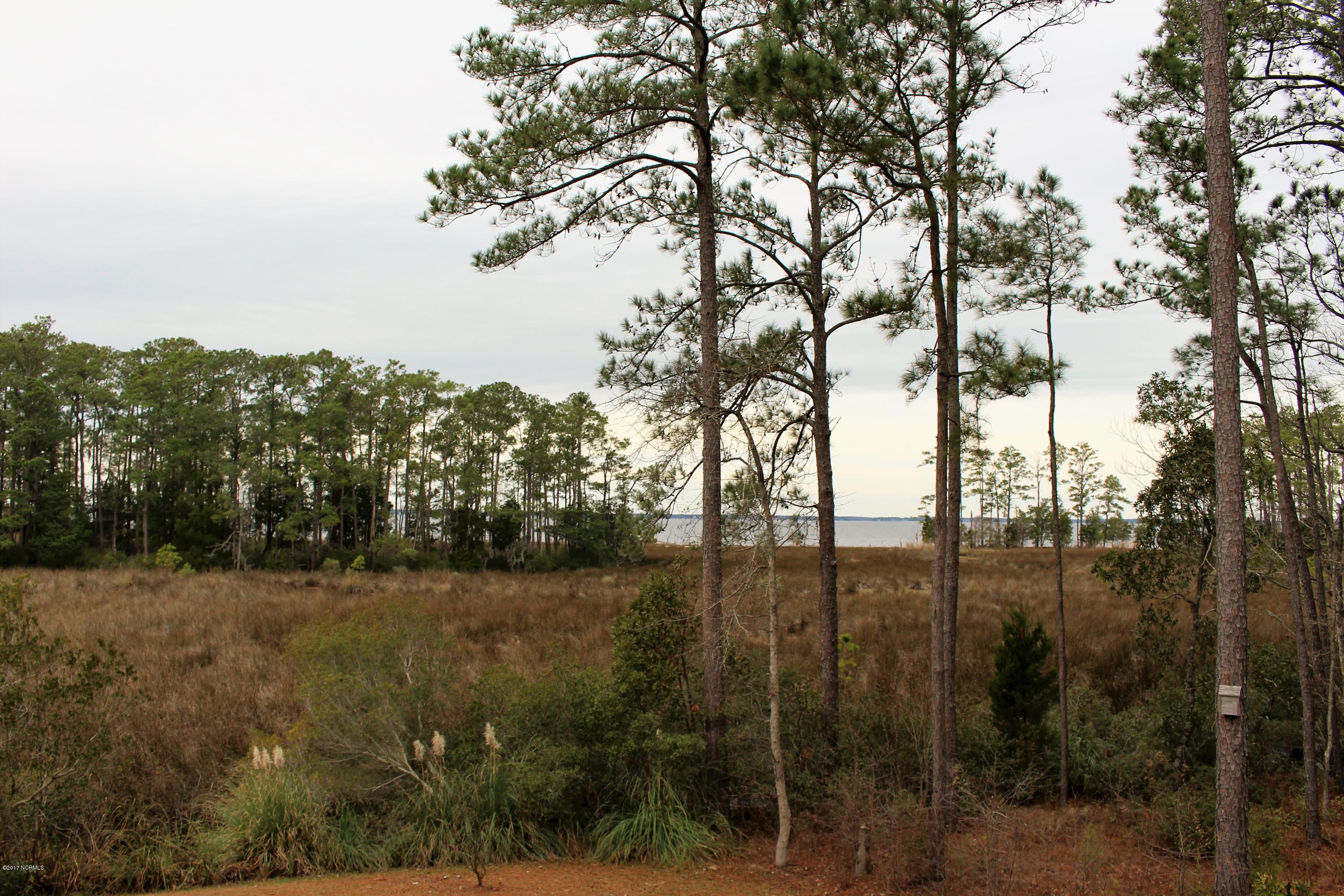 451 Becton Road Havelock, NC 28532 - Photo 9 of 87 Neuse river water views