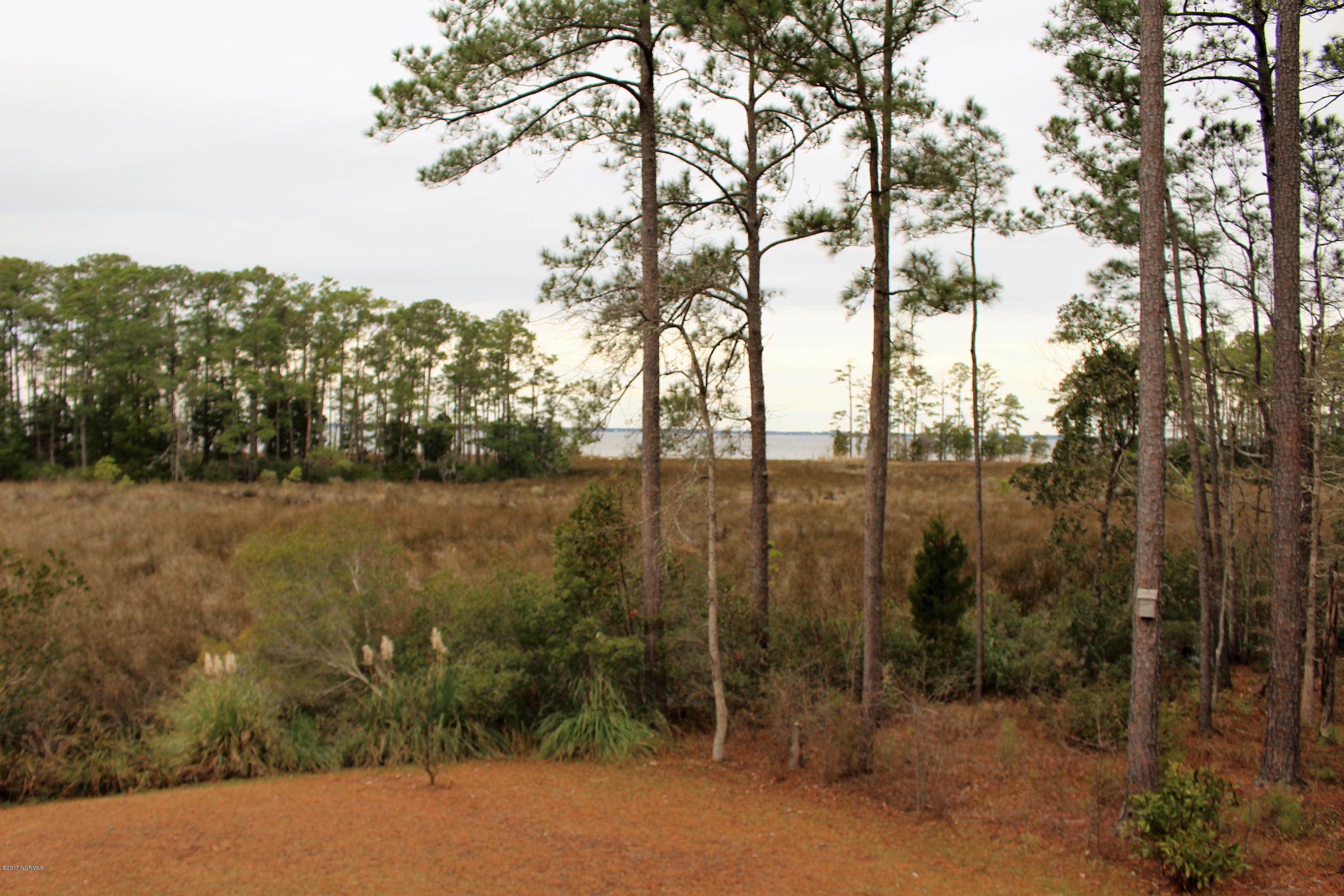 451 Becton Road Havelock, NC 28532 - Photo 10 of 87 Neuse river water views. Property line extends past grass to mash area in diastance