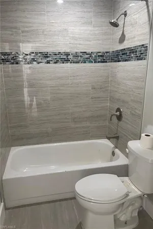 a bathroom with a toilet and a bathtub