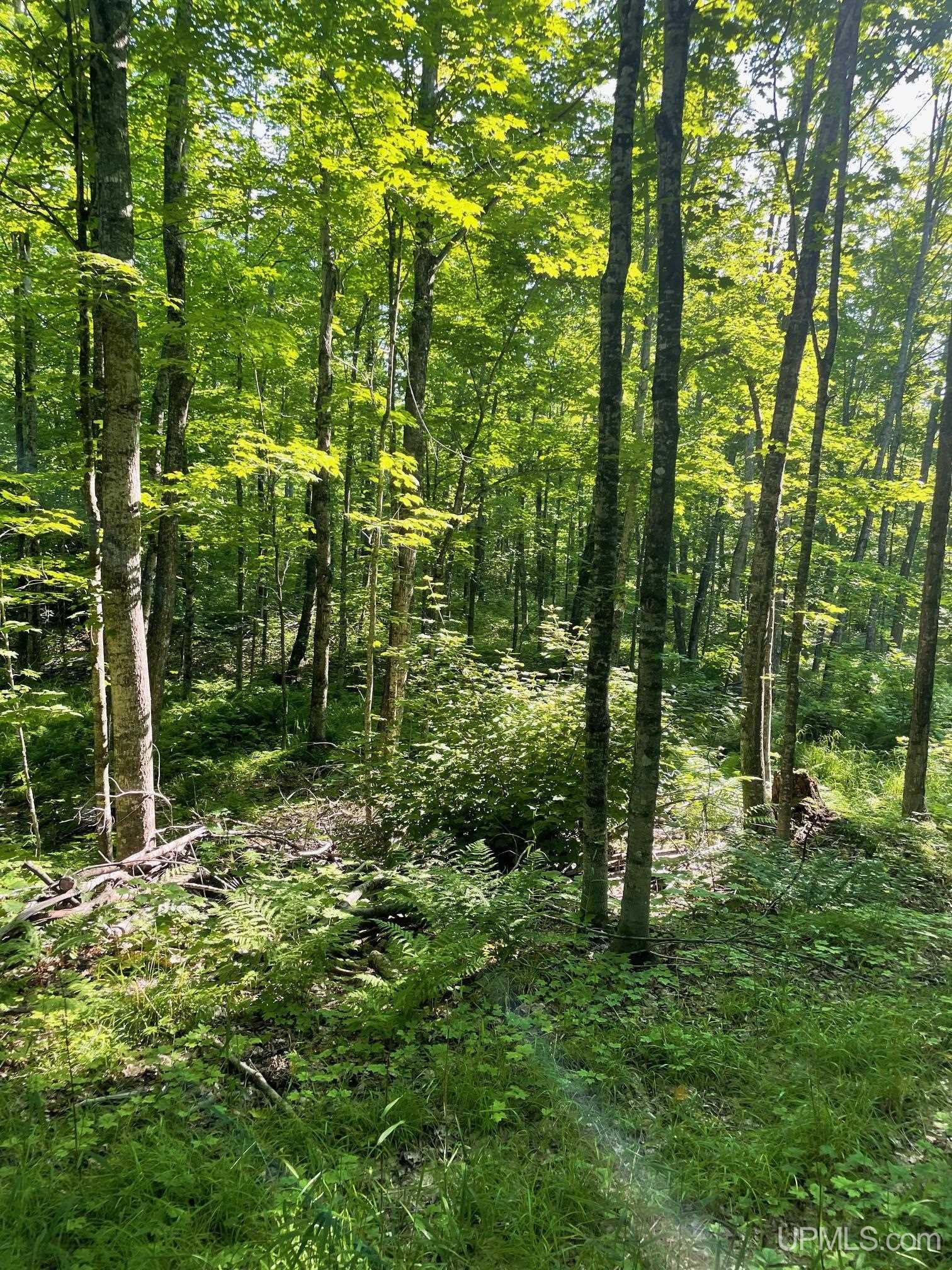 Tbd A Off Gay Road Lake Linden, MI 49945 - Photo 15 of 15