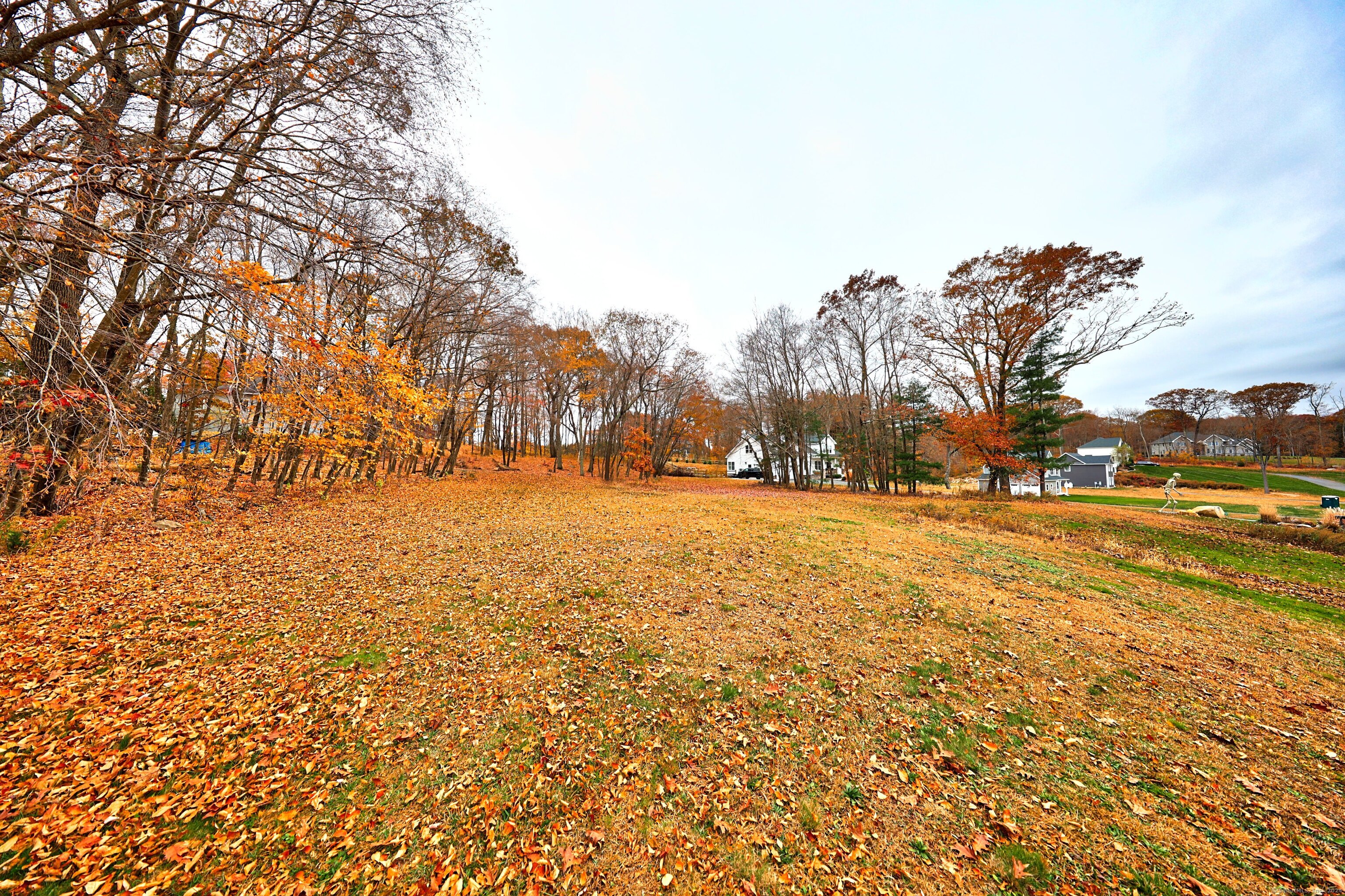 9 Ridgewood Club Road Prospect, CT 06712 - Photo 1 of 7 a view of dirt yard