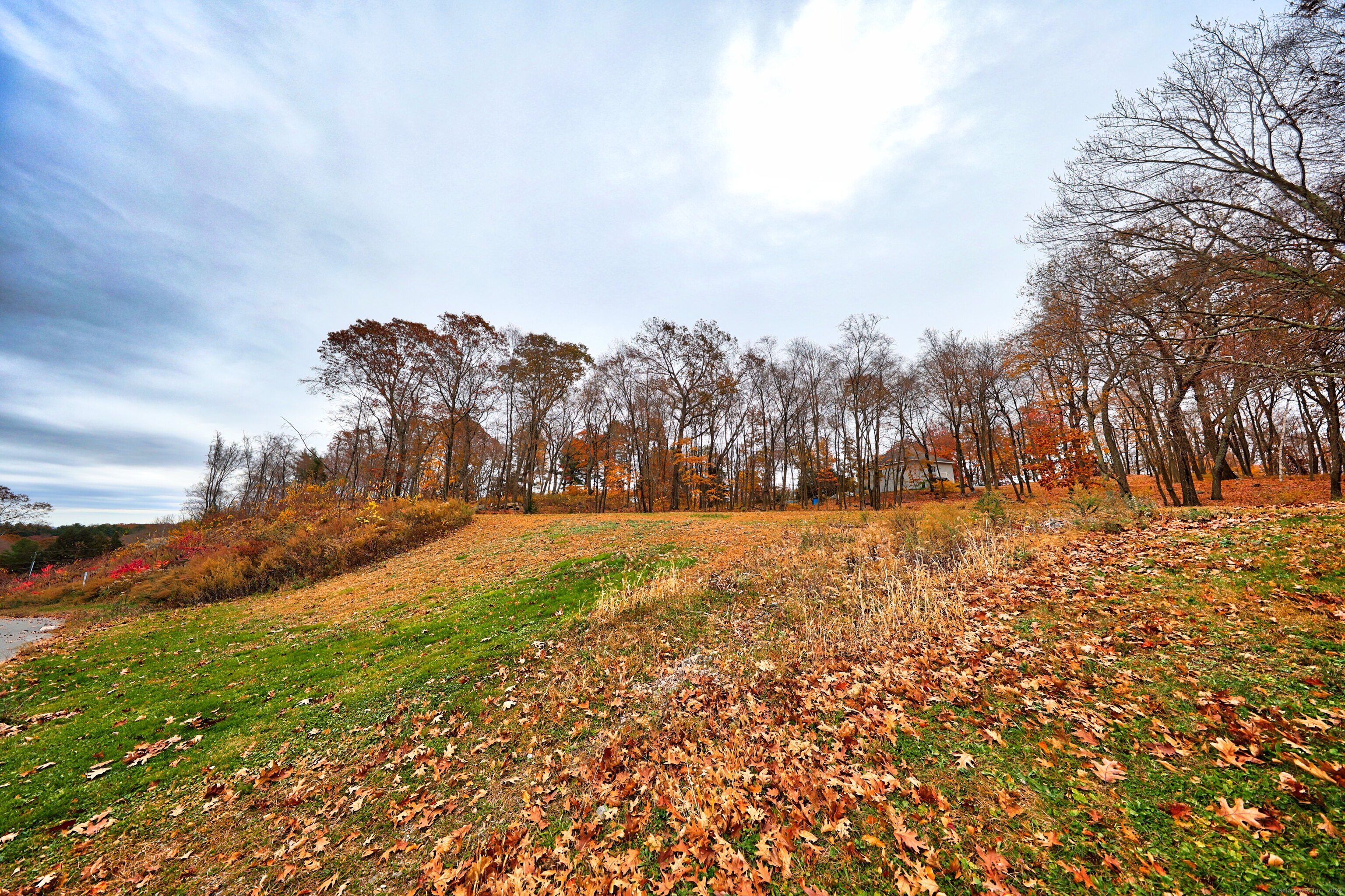 9 Ridgewood Club Road Prospect, CT 06712 - Photo 2 of 7 a view of yard with green space