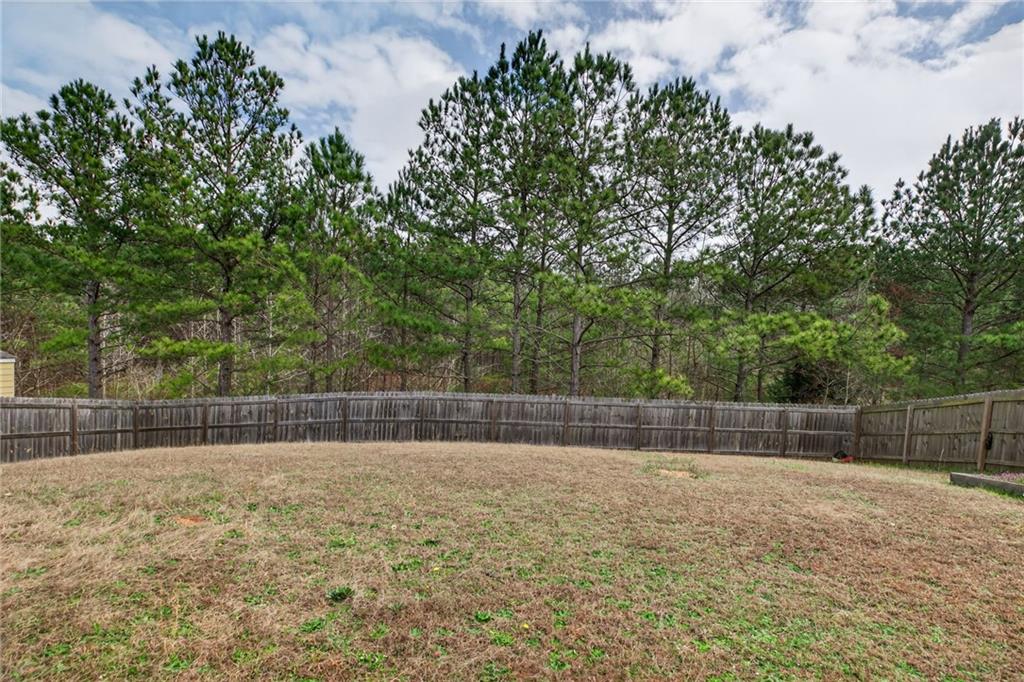 338 Springwater Way Bremen, GA 30110 - Photo 17 of 18
