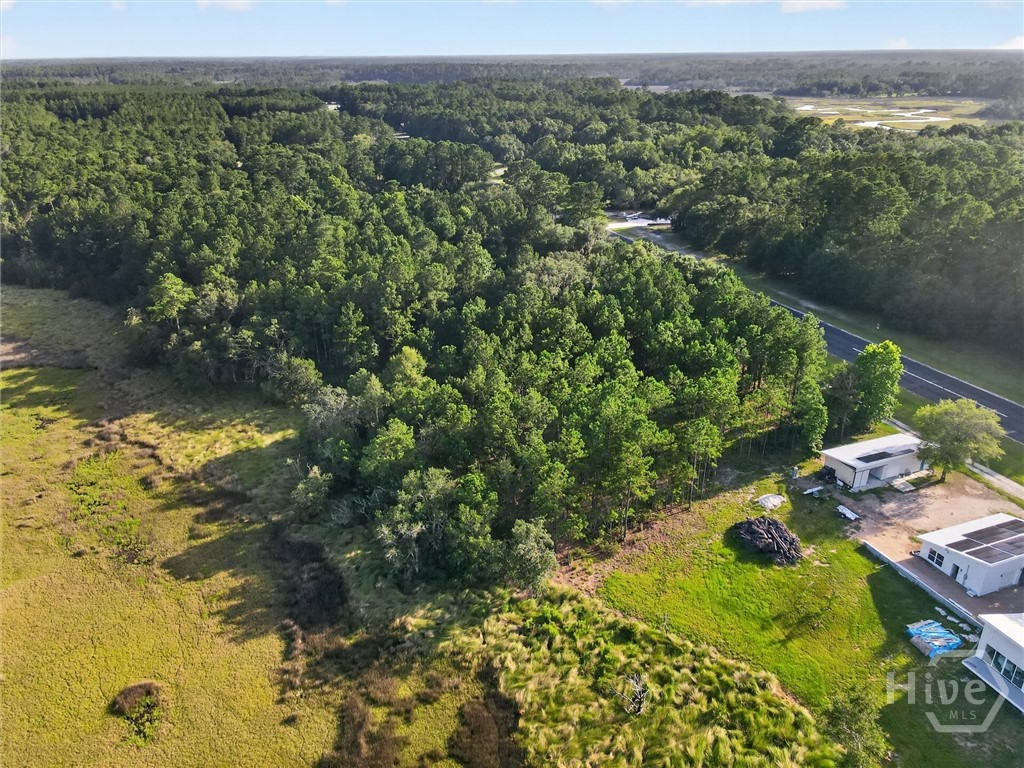 Lot #23 Barnstorm Road Northeast Townsend, GA 31331 - Photo 6 of 7