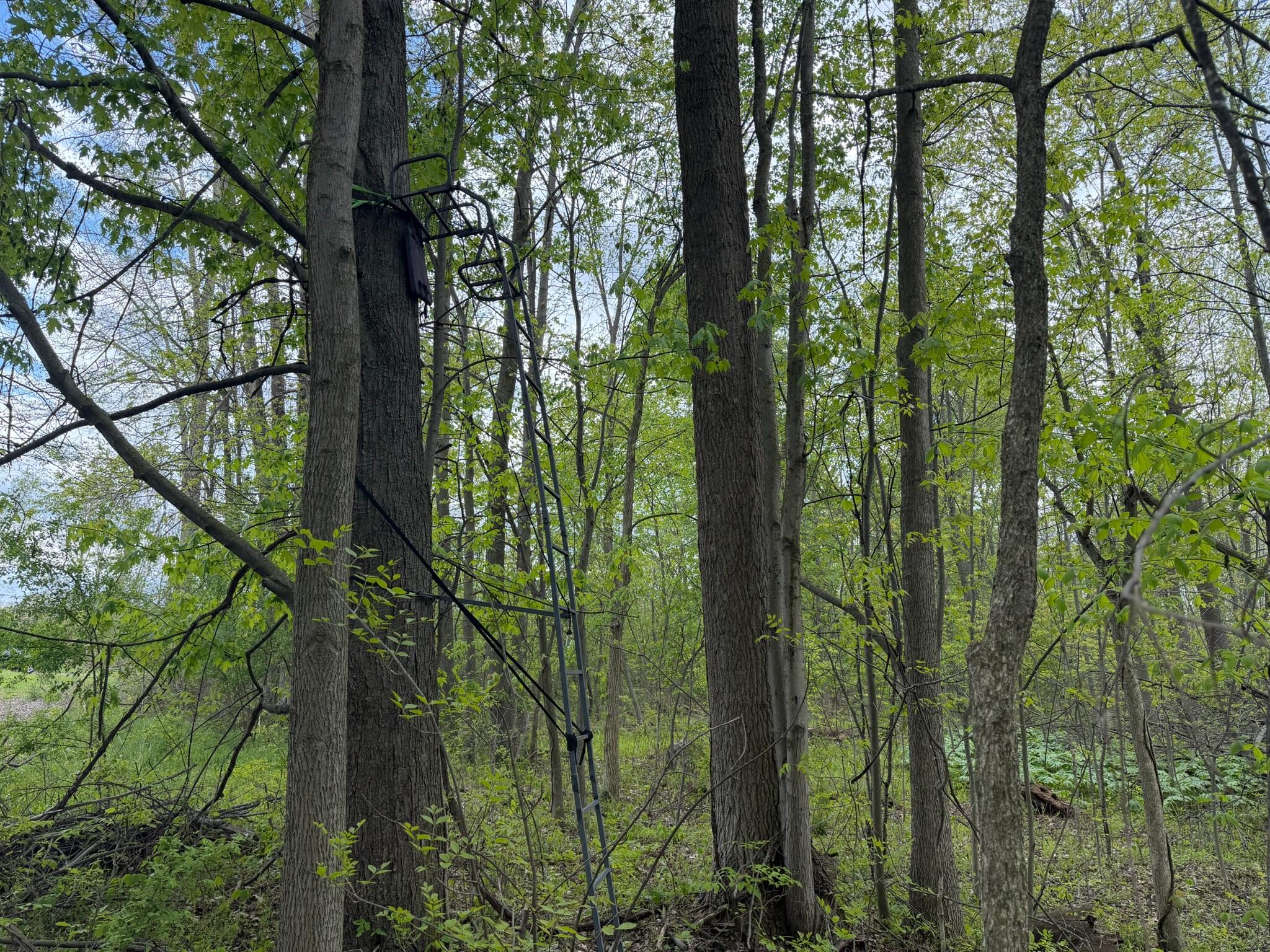 3 Bunkerhill Road Jackson, MI 49201 - Photo 13 of 16 IMG_2352