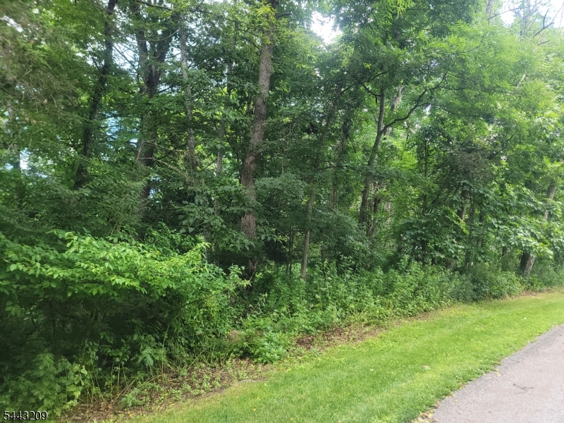 104 Armstrong Road Montague, NJ 07827 - Photo 2 of 4