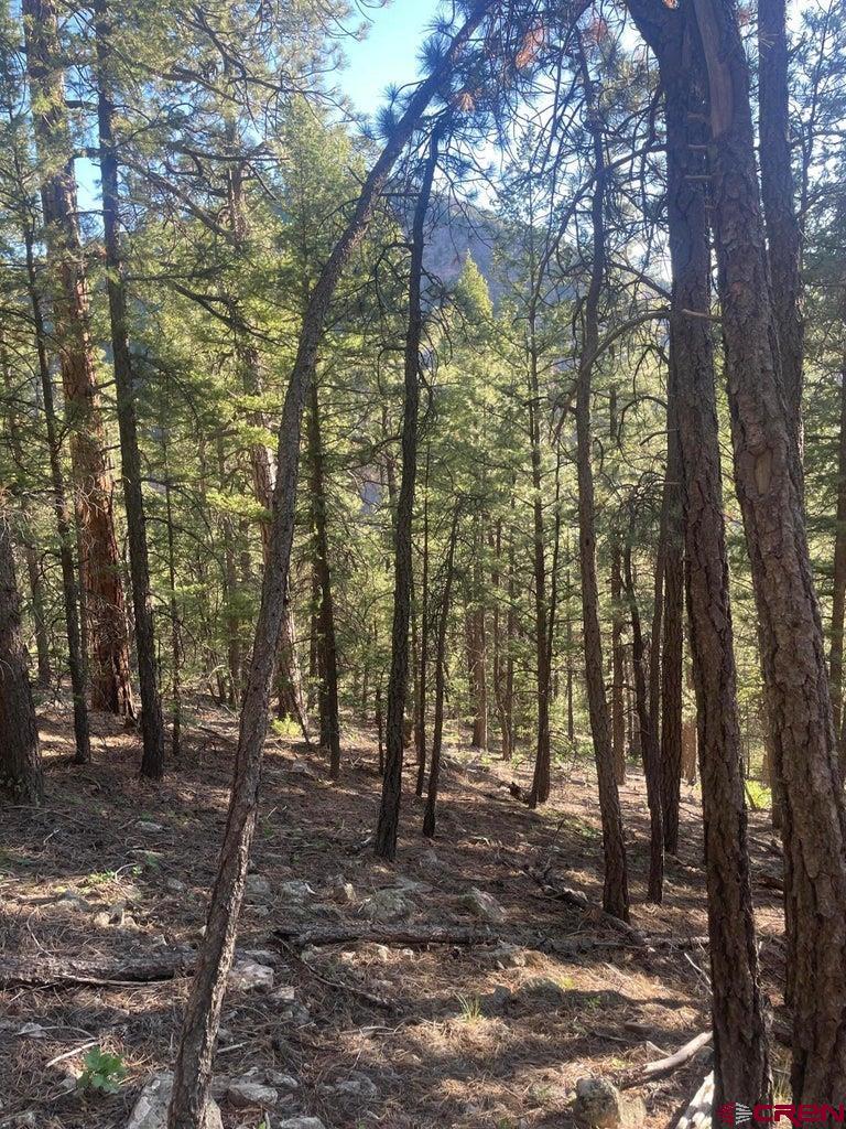 58p 58P Road Placerville, CO 81430 - Photo 13 of 34 a view of outdoor space and yard