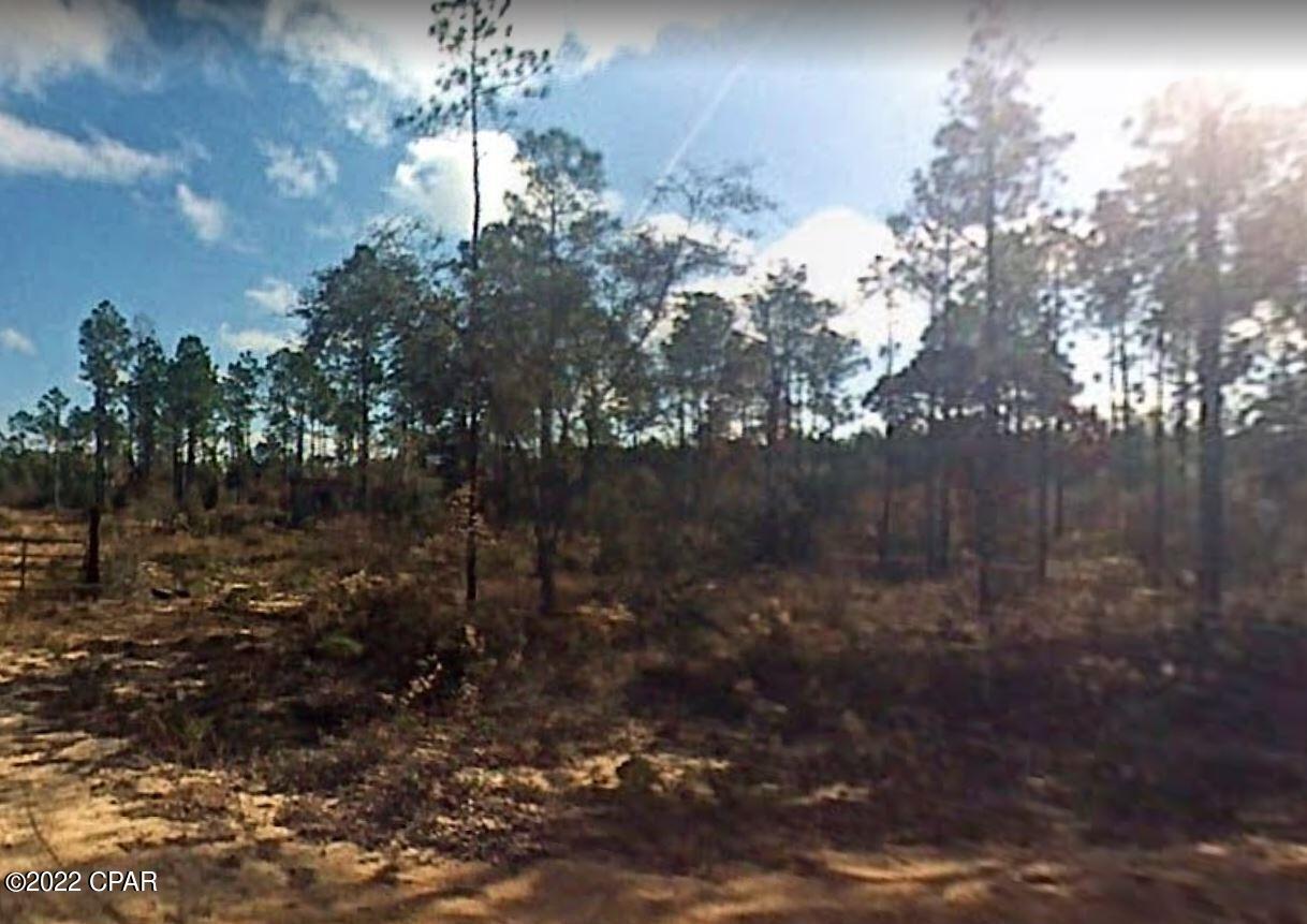 20416 Ring Road Fountain, FL 32438 - Photo 5 of 6 Gallery Image 5