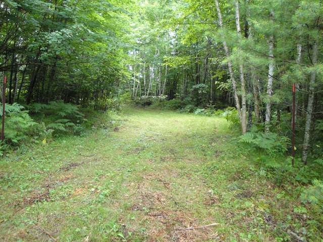 Lot 6 Elna Lake Road Rhinelander, WI 54501 - Photo 4 of 7 Gallery Image 4
