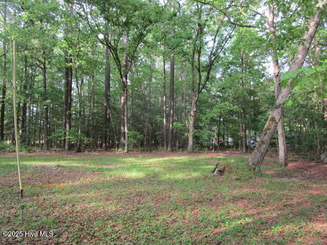 164 Gates Forest Road Eure, NC 27935 - Photo 35 of 44 IMG_4728