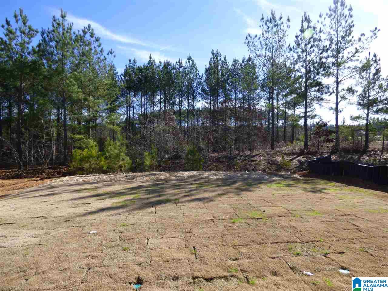 562 Grayson Place Chelsea, AL 35043 - Photo 19 of 21