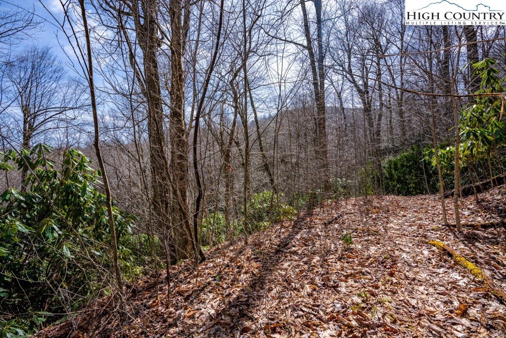 Lot 41 Mossy Creek Boone, NC 28607 - Photo 7 of 40 a view of a yard with plants and trees