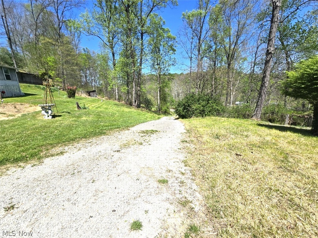 2361 Carpenter Run Road Waverly, WV 26184 - Photo 28 of 37 Driveway
