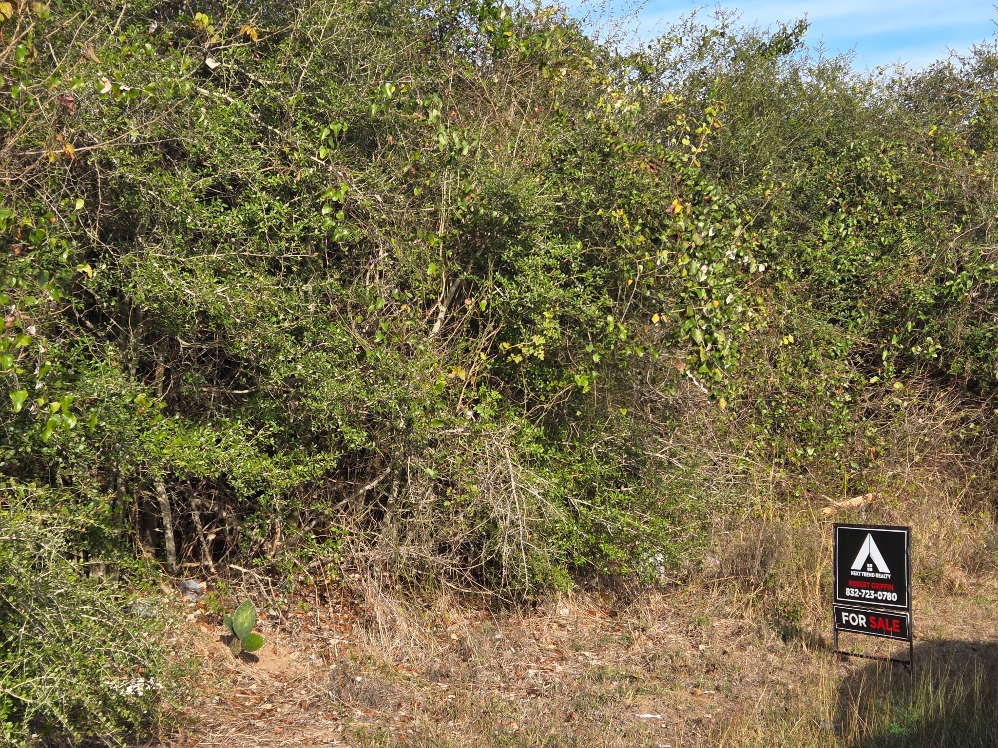 0 Bremond Hempstead, TX 77445 - Photo 1 of 6 a view of a wooden wall with a tree