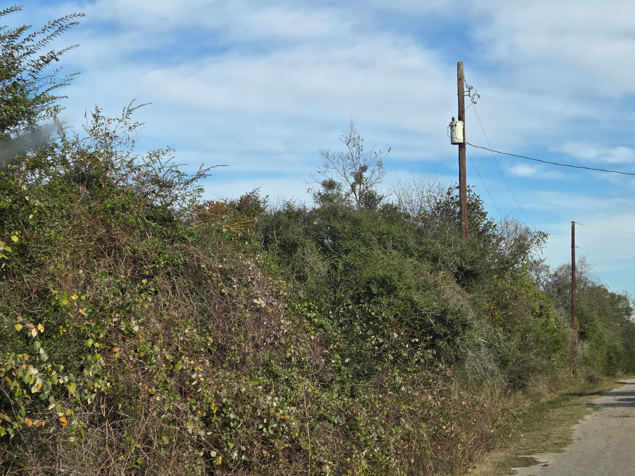0 Bremond Hempstead, TX 77445 - Photo 4 of 6 a view of a city