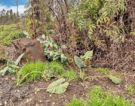 $459,000 | 11-3148 Pa Alii Street, Volcano, HI 96785