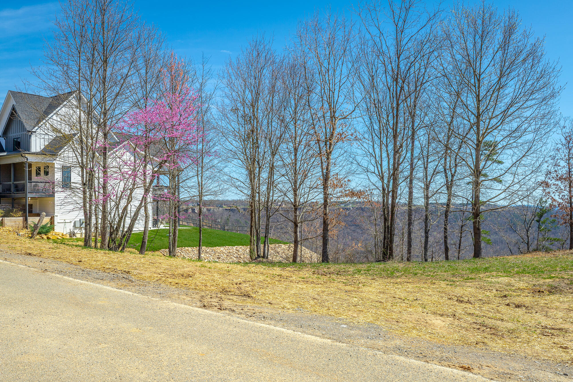 0 Sunset Circle, Unit 74 Jasper, TN 37347 - Photo 16 of 84 0 Sunset Circle - SV74 HD-11