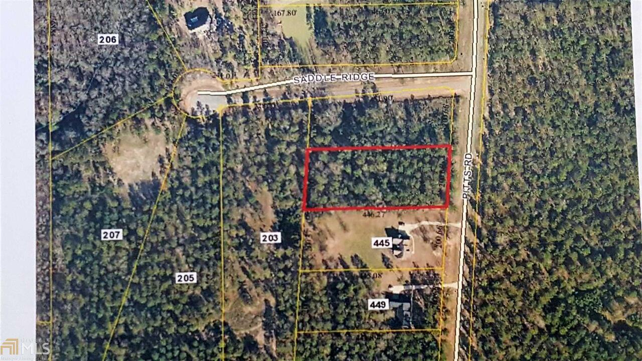 0 Pitts Road, Unit 11 Hawkinsville, GA 31036 - Photo 1 of 1 Gallery Image 1