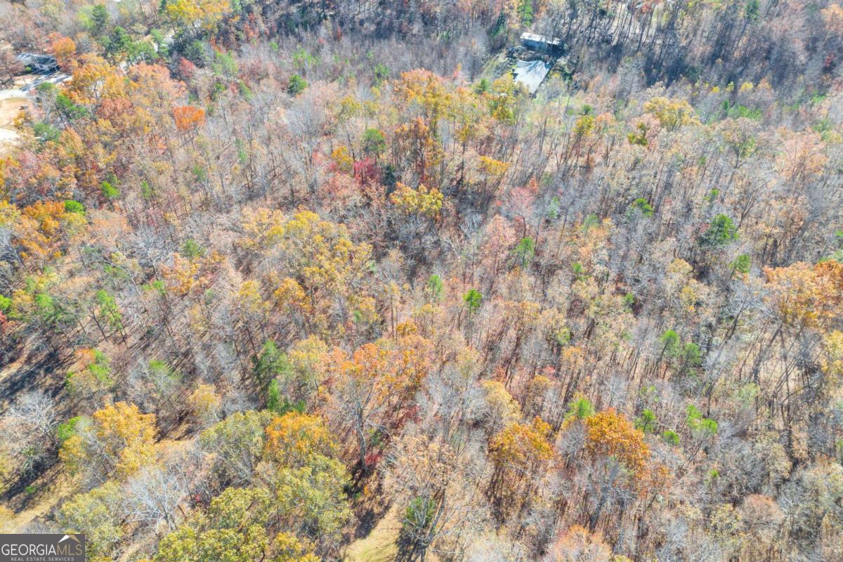 Lot 12 North Hicks Road Toccoa, GA 30577 - Photo 14 of 25