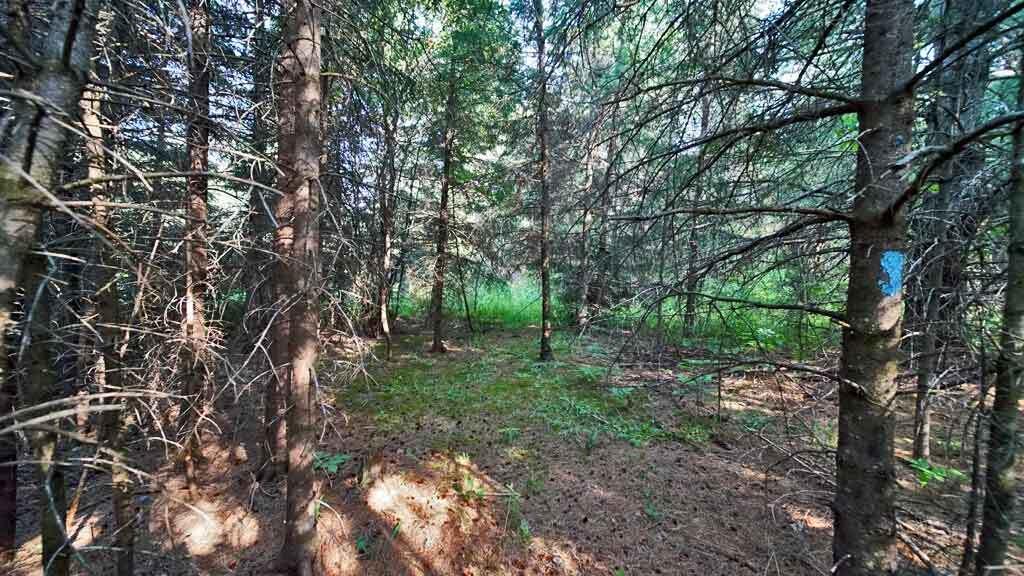 969 Shin Pond Road Mount Chase, ME 04765 - Photo 11 of 39 mt-chase-land-camp-12