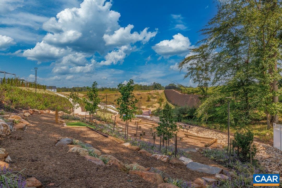 106 Cliffstone Boulevard Charlottesville, VA 22911 - Photo 29 of 29 a view of a yard with swimming pool