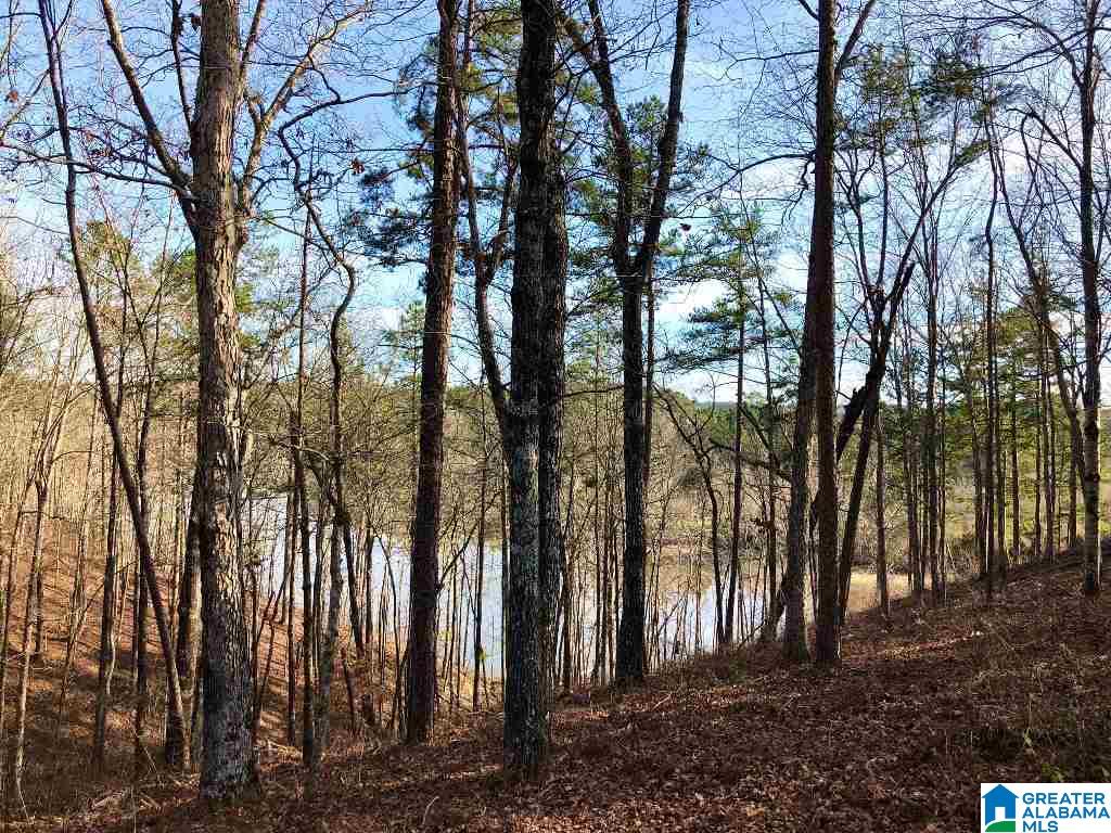 Rock Creek Road, Unit 11 Wedowee, AL 36278 - Photo 3 of 5