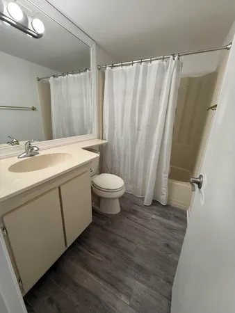a bathroom with a sink a toilet a mirror and shower curtain