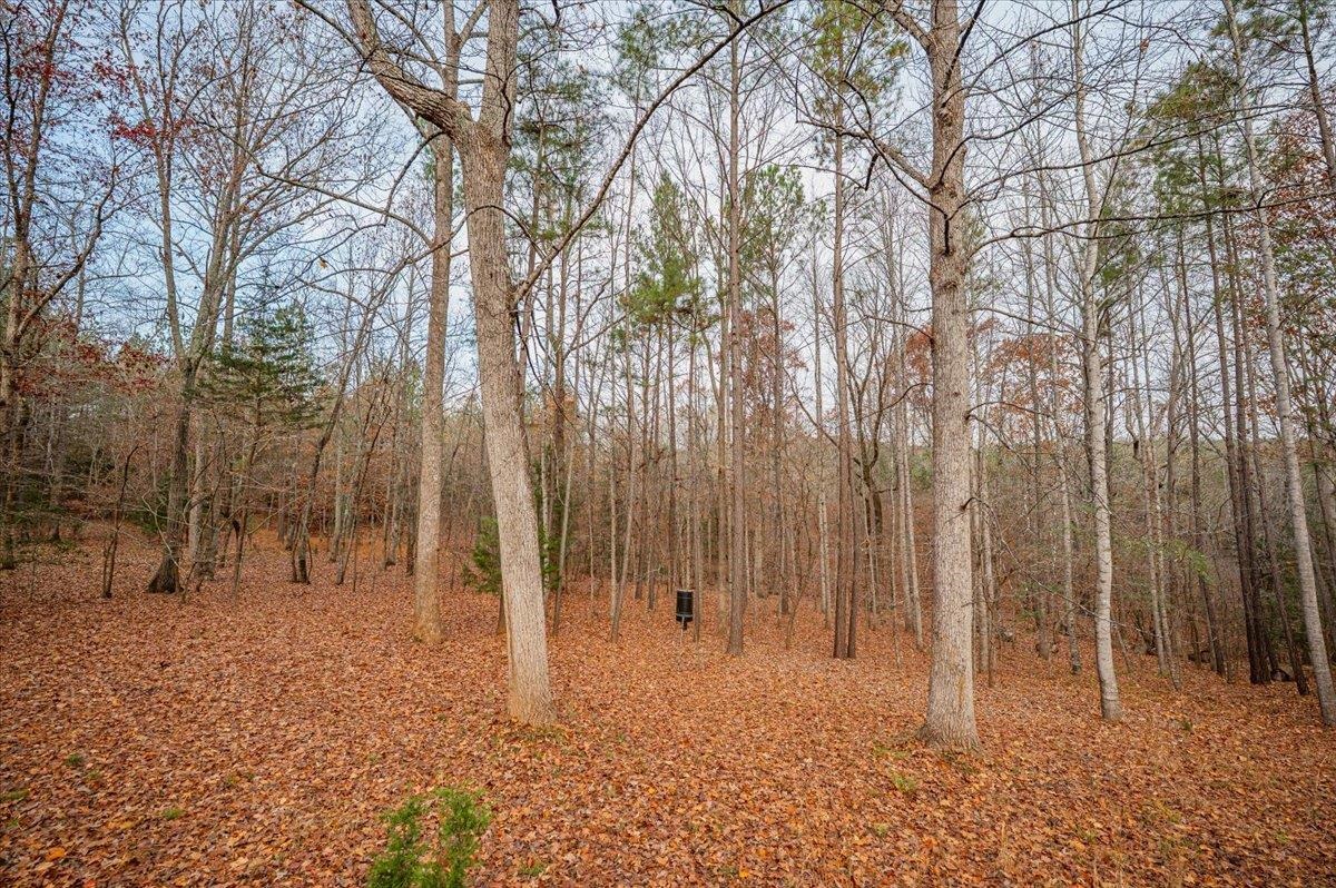 803 Derrick Road Pauline, SC 29374 - Photo 46 of 48