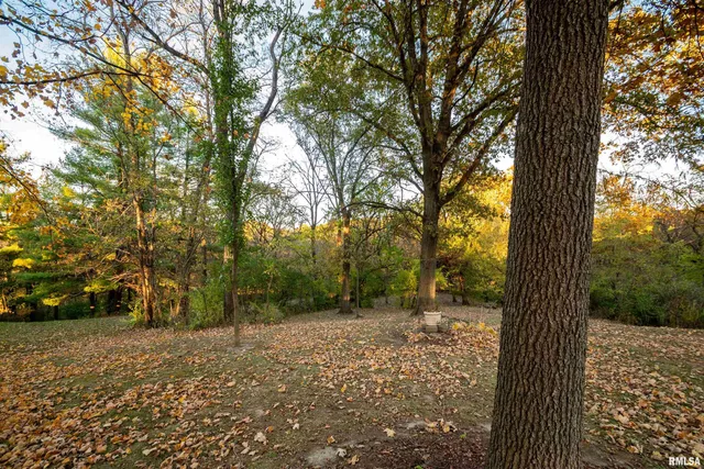 $209,000 | 2030 North Boyd Avenue, Peoria, IL 61604