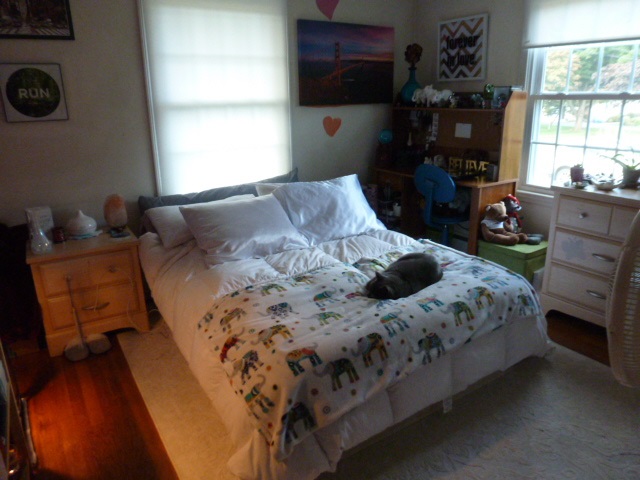 16 Thomsen Road Hampton, NH 03842 - Photo 11 of 15
