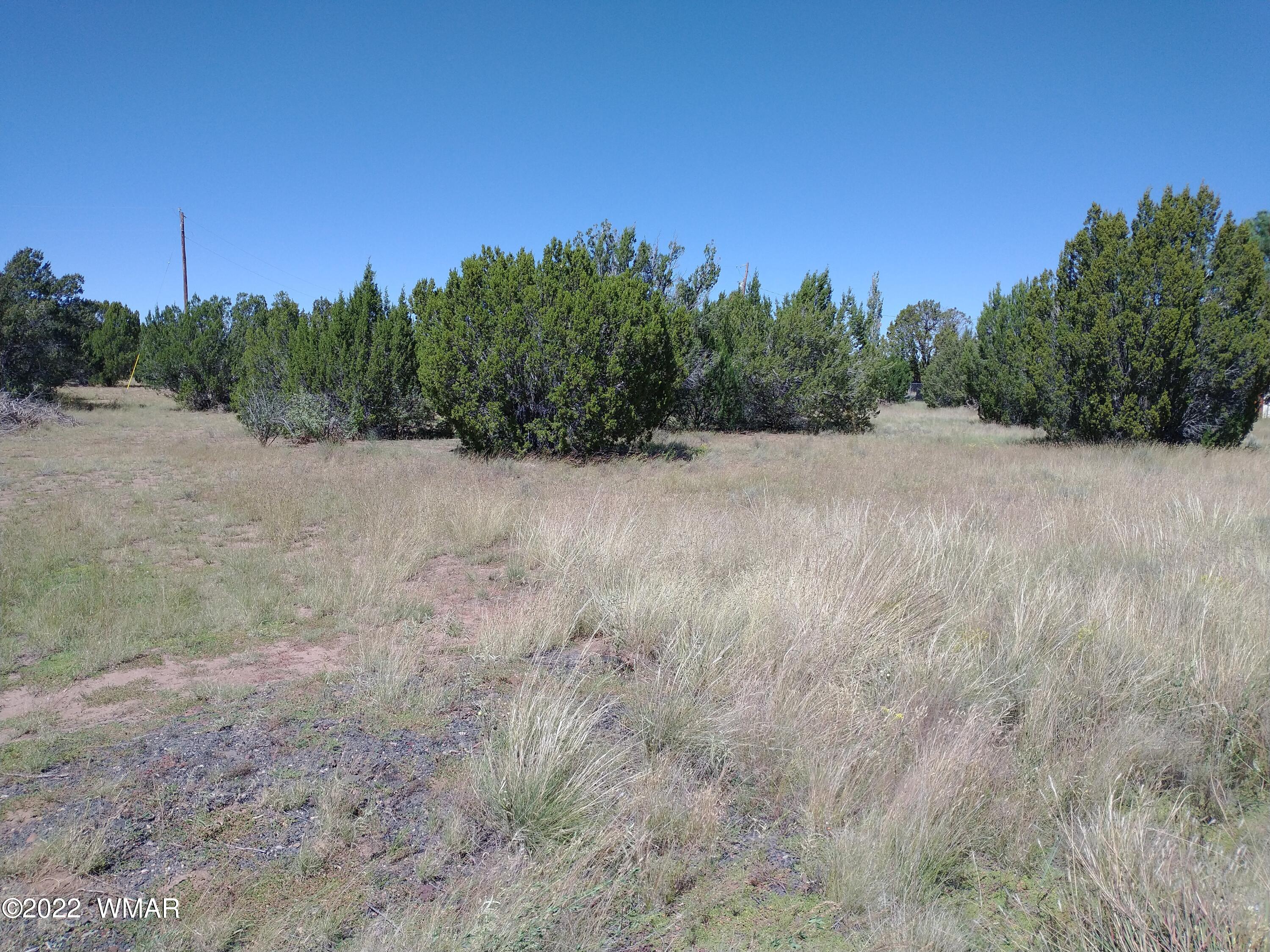 61 Spring Drive Concho, AZ 85924 - Photo 2 of 10