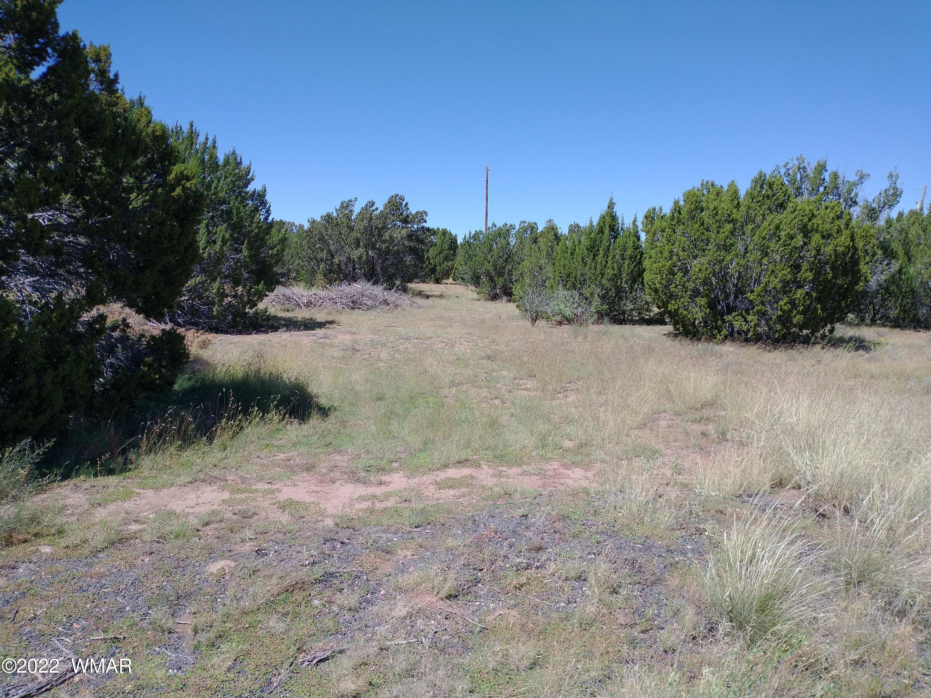 61 Spring Drive Concho, AZ 85924 - Photo 3 of 10
