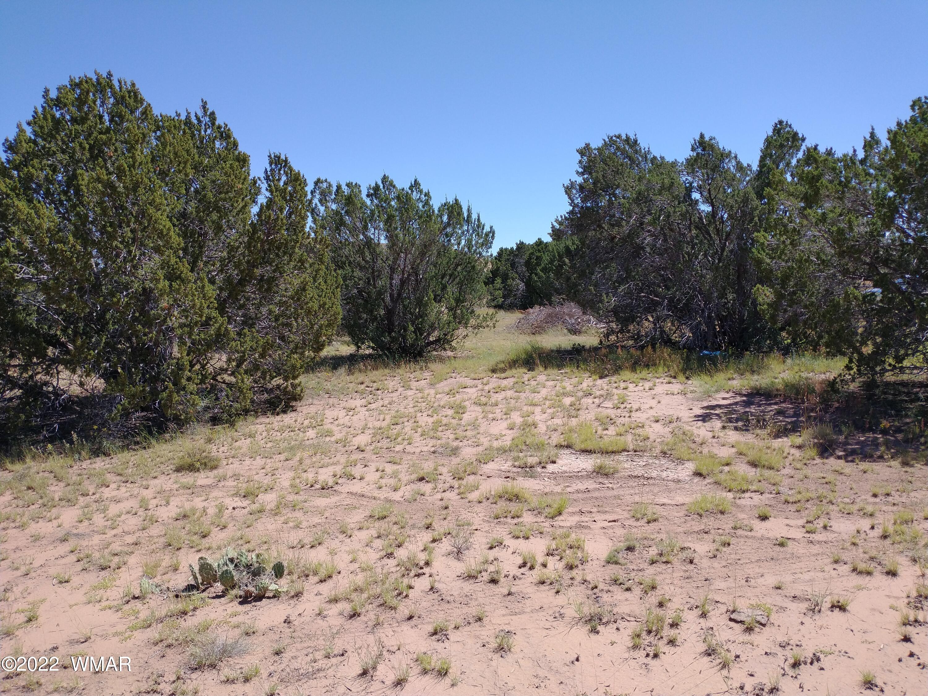 61 Spring Drive Concho, AZ 85924 - Photo 5 of 10