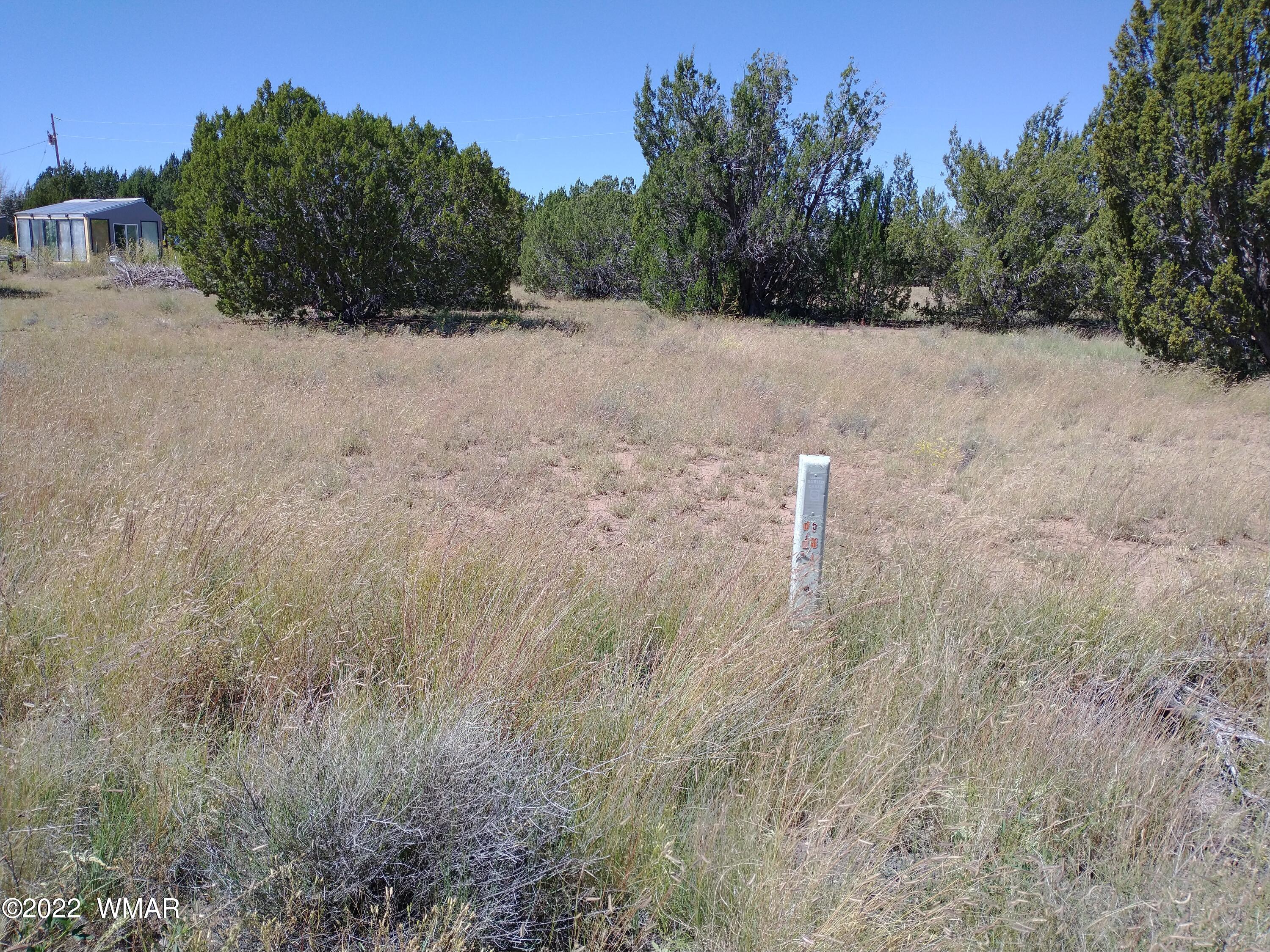61 Spring Drive Concho, AZ 85924 - Photo 8 of 10