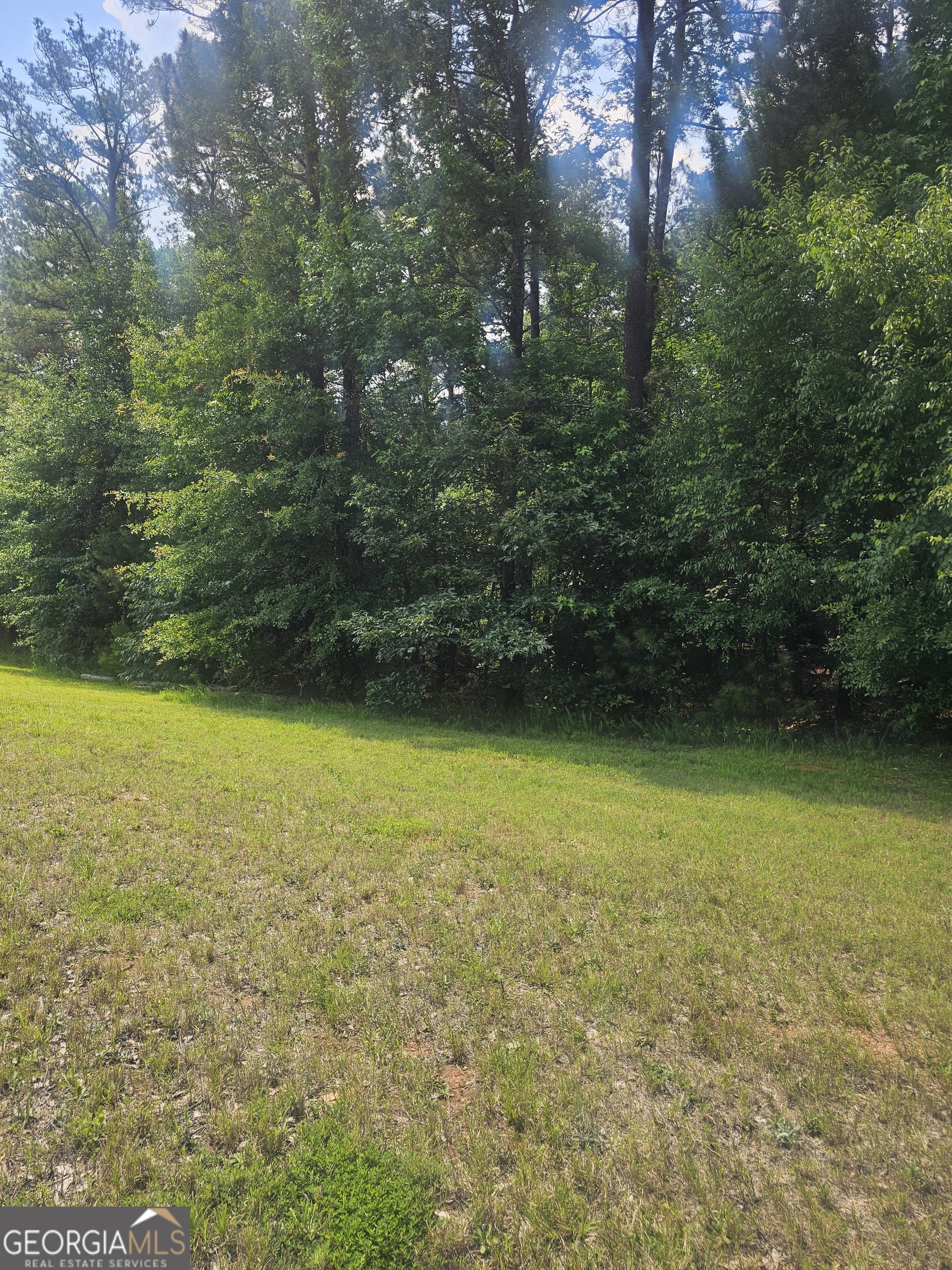 2755 Peeksville Road Locust Grove, GA 30248 - Photo 5 of 14